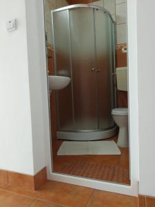 a bathroom with a shower and a toilet at Vila Roxy Costinesti in Schitul +31 photos