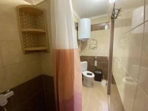 a small bathroom with a toilet and a shower at Bugazik in Karolino-Buhaz +13 photos