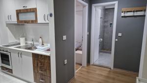 a kitchen with a sink and a shower in a bathroom at Emi Center Apartments in Gevgelija +35 photos