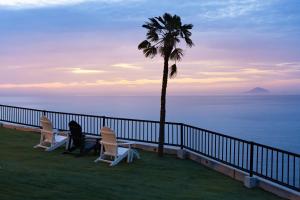 two chairs and a palm tree on a balcony with the ocean at 河津Blue Ocean in Kawazu