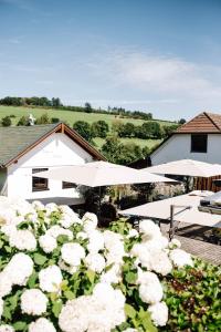 a hedge of white roses with umbrellas at Übernachten im Café Restaurant Vedder in Herscheid