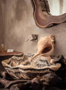 a skull of an animal on a wall at HOTEL ZAZIL KIN TULUM serenity & wellness in Tulum
