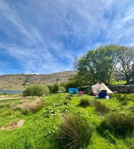 a tent in the middle of a field of grass at Wild Camping Teepee in Capel Curig