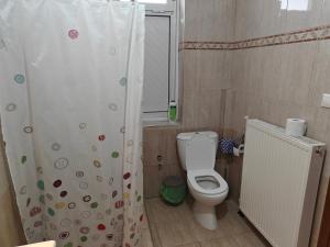 a bathroom with a toilet and a shower curtain at Harys Home in Korinos +9 photos