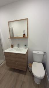 a bathroom with a toilet and a sink and a mirror at Cosy Appartement avec Parking in Feugarolles +9 photos