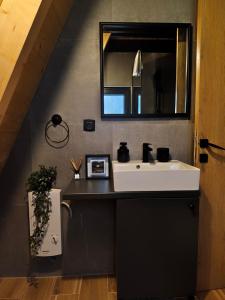 a bathroom with a white sink and a mirror at Zvezdana šuma in Žabljak +21 photos