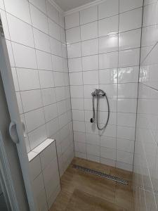 a bathroom with a shower with a glass door at Prázdninový dom in Štúrovo