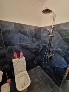 a bathroom with a shower and a toilet at Bujtina Dalmacia in Shkodër