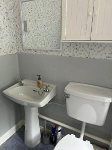 a bathroom with a white toilet and a sink at Affordable Saundersfoot Holidays in Pembrokeshire +13 photos