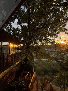 a tree on the deck of a house at Green Hill Villa in Tirana