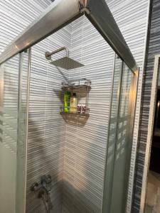 a shower with a glass door with a shelf at Dora home in Cairo +14 photos
