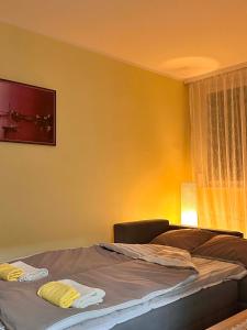 a bedroom with a bed and a window at Apartman Ditta in Subotica