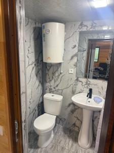 a bathroom with a toilet and a sink at Eva Guesthouse in Odzun +15 photos