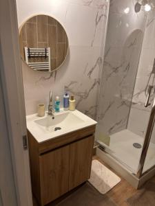 a bathroom with a sink and a shower at Appartement proche Université Arras, parking gratuit et privé in Arras +10 photos