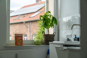 a kitchen window with a plant on a counter at Interior Apartments - Service Apartments in Bahnhofsnähe und UNESCO-Bergpark mit Parkplatzmöglichkeit, EBK, kinderfreundlich, Familienzimmer in Kassel +154 photos