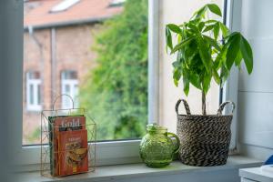a window sill with a plant and a book and a vase at Interior Apartments - Service Apartments in Bahnhofsnähe und UNESCO-Bergpark mit Parkplatzmöglichkeit, EBK, kinderfreundlich, Familienzimmer in Kassel