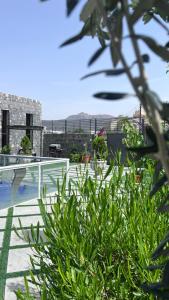 a building with a pool and some plants at شالية الشفق in Al ‘Aqar