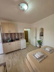 a large room with a bed and a kitchen at Apartmani Tina in Sutomore