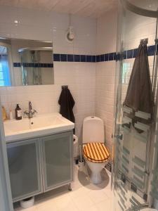 a bathroom with a toilet and a sink and a shower at Gästhus med båtplats in Kvicksund +13 photos