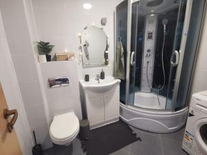 a bathroom with a shower and a toilet and a sink at Flower Apartment in Floreşti