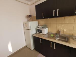 a kitchen with a sink and a white refrigerator at Flower Apartment in Floreşti