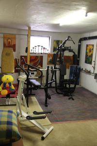 Posilňovňa alebo fitness centrum v ubytovaní Ferienwohnung Bliem