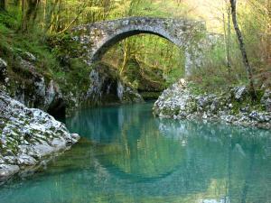 an old bridge over a river in a forest at Apartmaji pri Pinku in Breginj