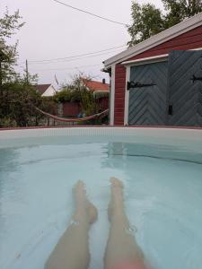 a couple of dogs standing in a swimming pool at Smia in Søgne