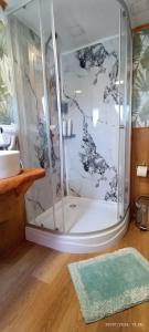 a bathroom with a shower with a sink and a rug at Alma Lemu Lodge in Los Ladrillos