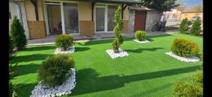 a yard with white rocks and trees in the grass at Apartmani Alibi in Kula