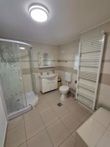 a bathroom with a shower and a toilet and a sink at Casuta din Crang in Moieciu de Jos +8 photos