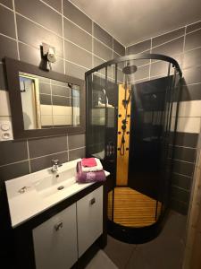 a bathroom with a shower and a sink and a sink at Petit studio charmant in Lezoux