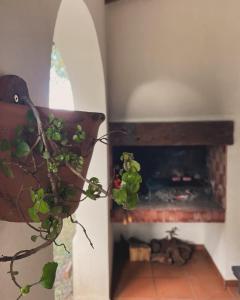 a plant in front of a fireplace in a room at Casita colonial en Chapadmalal in Chapadmalal