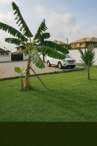 Ein weißes Auto parkt neben einer Palme in der Unterkunft Zenith House in Ibadan