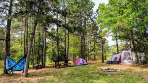 a group of tents and a picnic table in a forest at Ouachita Campground at Edendell in Oden