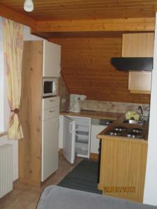 a small kitchen with a white refrigerator and a stove at Ferienwohnung Steinwender in Döbriach