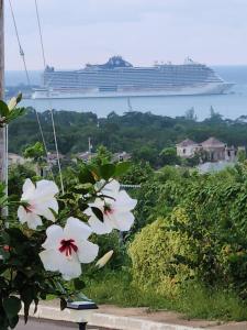 a cruise ship in the water with flowers at Honeycomb Oceanview Villa in Falmouth
