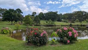 a pond in a park with flowers in the grass at Ouachita Campground at Edendell in Oden