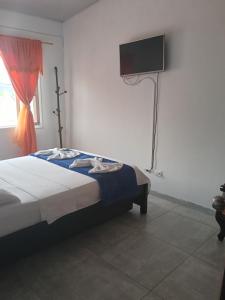 a bedroom with a bed and a flat screen tv at Alojamiento donde Nur in Filandia