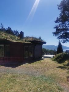 a house with a grass roof with a view at Cabin in Kvinnherad in Ølfernes +8 photos