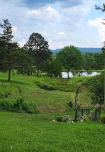 a view of a field with a river and trees at Ouachita Campground at Edendell in Oden