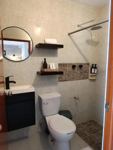a bathroom with a toilet and a sink and a mirror at Private House with Pool, 2 Bedrooms & Parking in Valladolid +19 photos
