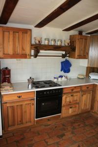 La cuisine est équipée de placards en bois et d'un four avec plaques de cuisson. dans l'établissement House Kisic, à Višnjan