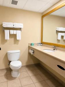 a bathroom with a toilet and a sink and a mirror at Hotel M Mount Pocono in Mount Pocono +44 photos