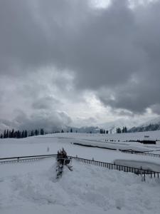 a field covered in snow with trees and mountains at Everest Guest House in Gulmarg