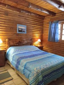 a bedroom with a bed in a log cabin at Cabañas La Brama in Aluminé