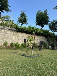 a garden with two chairs and a plant in the grass at Everest Guest House in Gulmarg