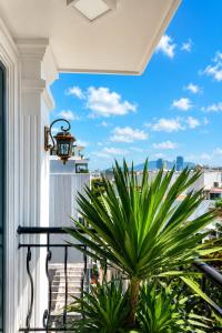 a balcony with a plant and a view of the city at Marly Apartment in Danang