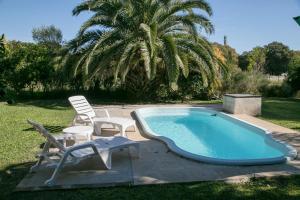 a swimming pool with chairs and a palm tree at El Solar in Vuelta de Obligado