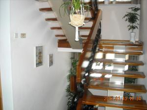 Foto dalla galleria di Haus Rosi a Umhausen